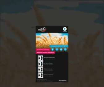 993Radio.com(Radio Mesías) Screenshot