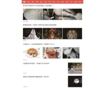 9Idudu.com(新闻头条) Screenshot