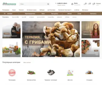 9Monahov.ru(9Монахов) Screenshot