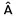 A-Y-A-M-E.com Favicon