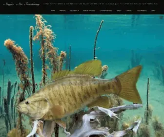 AA-Taxidermy.com(Fish Taxidermy) Screenshot