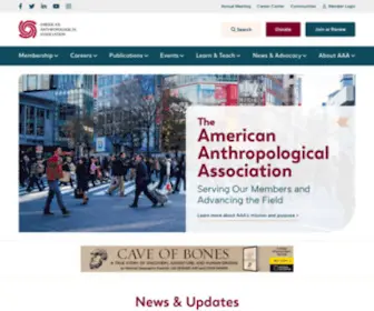 AAAnet.org(American Anthropological Association (AAA)) Screenshot
