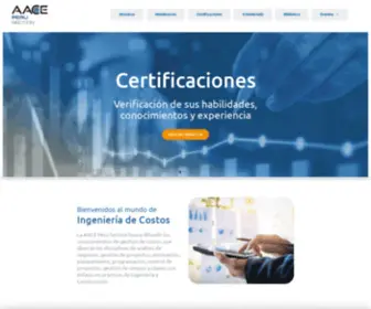 AAcei.org.pe(AACE PERU SECTION) Screenshot