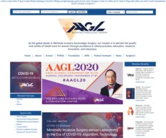 AAGL.org(Elevating Gynecologic Surgery) Screenshot