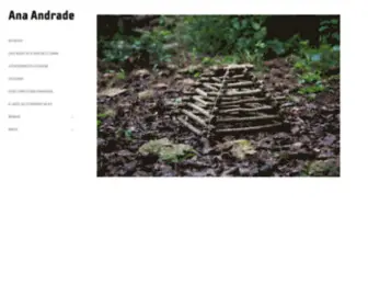 AAnandrade.com(Visual Artist) Screenshot