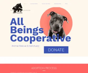 ABCRescue.org(ABC Animal Rescue) Screenshot