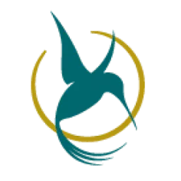 Abdominoplastialaser.com Favicon