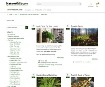 Aboutferns.com(About Ferns) Screenshot