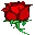 Aboutflowershome.com Favicon