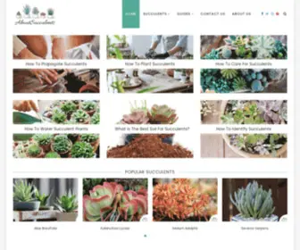 Aboutsucculents.com(The go) Screenshot