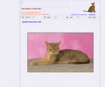 Abyssinian-Cat.co.uk(Abyssinian Cats and Kittens For Sale) Screenshot