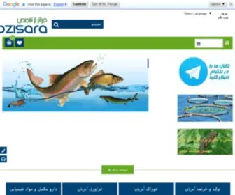 Abzisara.com(الباحث السياسي في الشرق الأوسط من القبر إيزيس) Screenshot