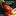 Academicobgyn.com Favicon
