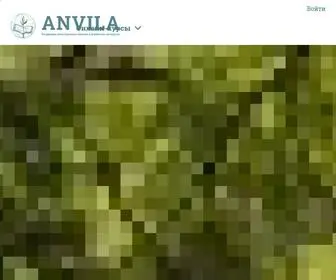 Academyanvila.ru(Онлайн) Screenshot
