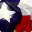 Acaoftexas.org Favicon