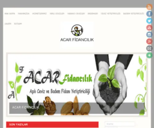 Acarfidancilik.net(Acarfidancilik) Screenshot