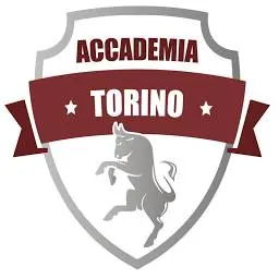 Accademiatorinofc.it Logo