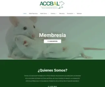 Accbal.org(Asociación) Screenshot