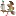 Access-Diva.com Favicon