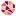 Accesscommunity.org Favicon