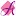 Accessoriesshop.ma Favicon