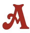 Accessorizeinstyle.com Favicon