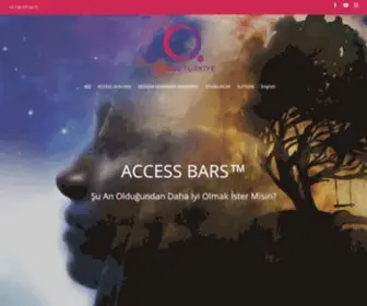 Accessturkiye.com(Access Türkiye) Screenshot