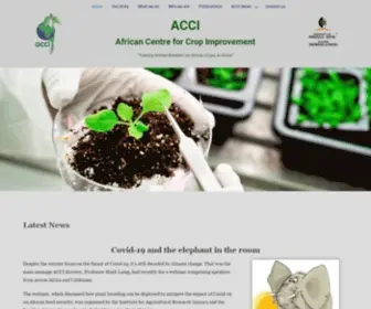 Acci.org.za(African Centre for Crop Improvement) Screenshot