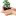 Accretewebsolutions.ca Favicon
