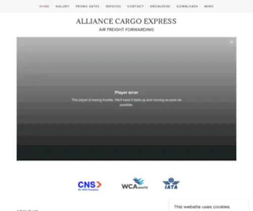 Acecargo.us(Air Freight Forwarding) Screenshot