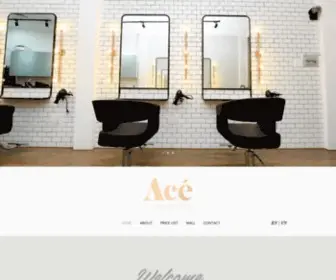 Acehair.co(Celebrity hair dressers) Screenshot