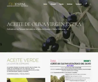 Aceite-Virgen.com(Aceite de Oliva Virgen Extra) Screenshot