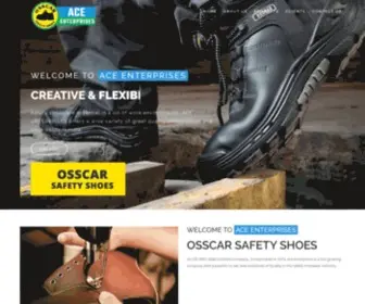 Acesafety.co.in(ACE ENTERPRISES) Screenshot