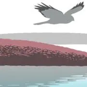 Achabanhouse.co.uk Favicon