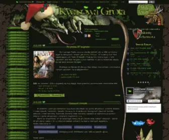 Acidcave.net(Wszechświat gier Might & Magic) Screenshot