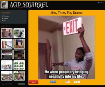 Acidsquirrel.com(Acid Squirrel) Screenshot