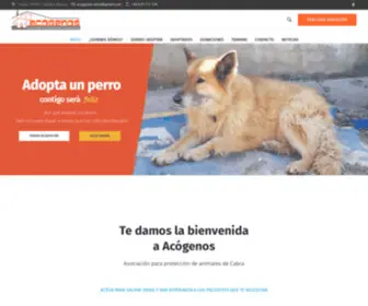 Acogenos.es(Cabra (Córdoba)) Screenshot