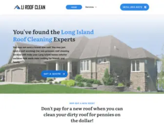 Actionroofcleaning.com(Roof Soft Wash Company) Screenshot