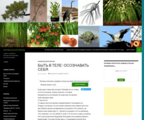 Active-Long-Life.ru(долголетие) Screenshot