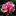 Actongardenclub.org Favicon