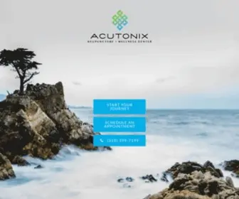 Acutonix.com(Acutonix) Screenshot