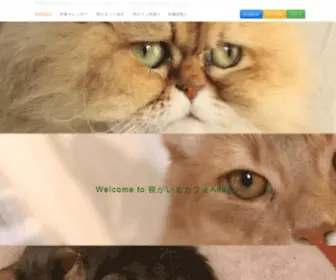 Adagio22.com(猫カフェ) Screenshot