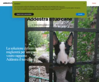 Addestrailtuocane.com(域名停靠) Screenshot