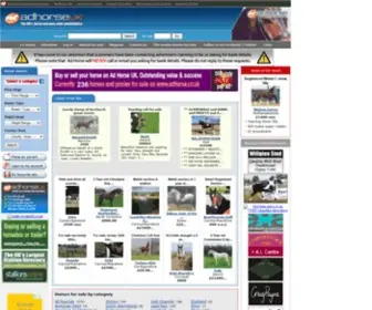 Adhorse.co.uk(Horses for sale) Screenshot
