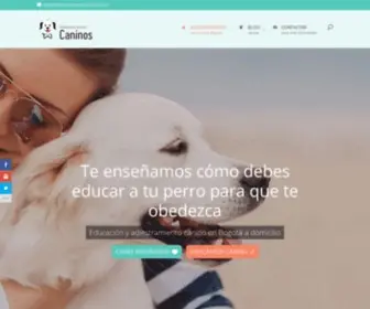 Adiestramientocaninos.com(▷ Adiestramiento Caninos) Screenshot