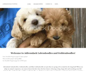 Adirondacklabradoodles.com(LABRADOODLE PUPPIES) Screenshot