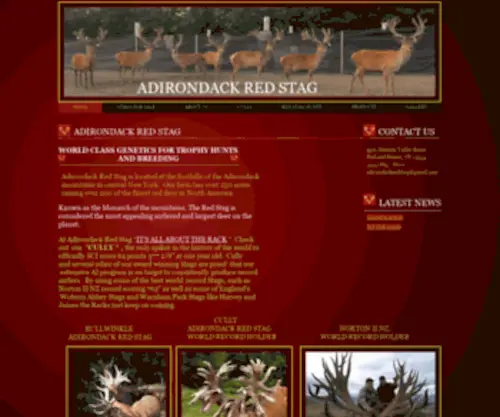 Adirondackredstag.com(ADIRONDACK RED STAG) Screenshot