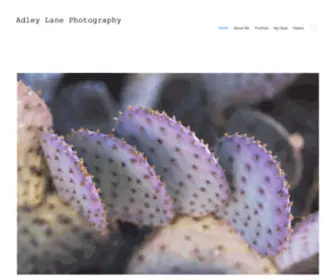 Adleylanephotography.com(Adleylanephotography) Screenshot