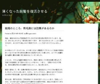 Adnextmedia.com(Le guide de référence pour rentabiliser son site internet) Screenshot