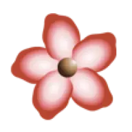 Adoberoseinn.com Favicon
